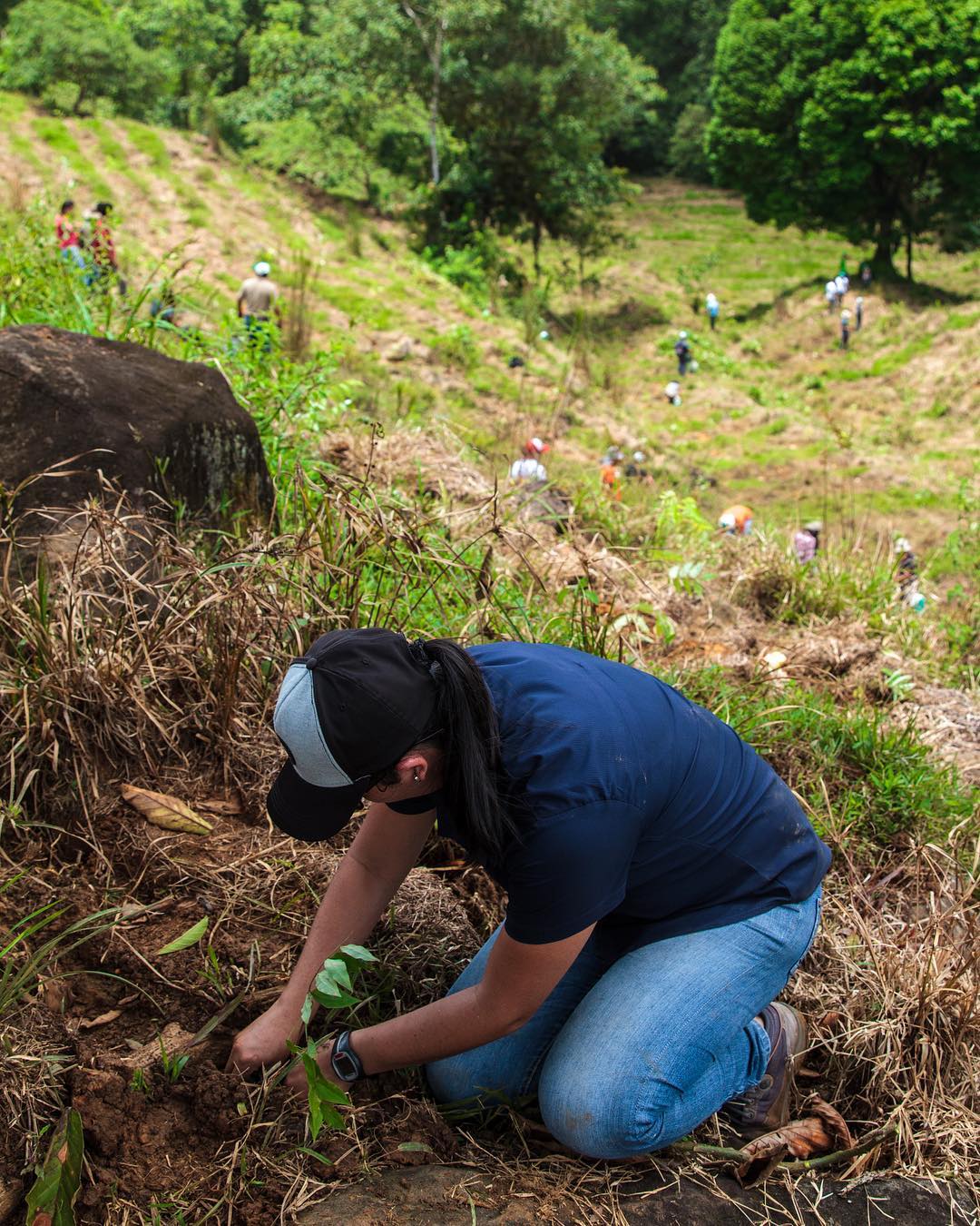 Planting 5,000 Trees in Costa Rica for a Carbon Neutral #ATWS2016 ⠀ Last year I visited Costa Rica along with @adventure.travel_ and @visitanchorage for a very enlightening trip about Carbon Neutrality. ⠀ Rafael Gallo, an amazing guy, one of the top conservation advocates in Costa Rica (if not in the world) and owner of @riostropicales, was our guide through this awesome experience. He was also the one who challenged Visit Anchorage to make their Adventure Travel World Summit the first carbon neutral one, setting in motion a movement that brought this critical subject to the attention of many of the adventure travel industry leaders! Kudos, Rafa! ⠀ With Rafa’s help and under the guidance and supervision of EARTH university (a leading carbon neutrality institution based in Costa Rica), the ATTA and Visit Anchorage gathered over 300 volunteers to plant 5,000 trees which will be cared for by Rafa and his people for about 3 years until they can sustain themselves, and will be kept in the ground for at least 12 years to capture the carbon that was produced to make the Summit happen. ⠀ I encourage you to research this very interesting subject. I hope you’ll be inspired and will inspire others within your reach to take action on this super important matter.