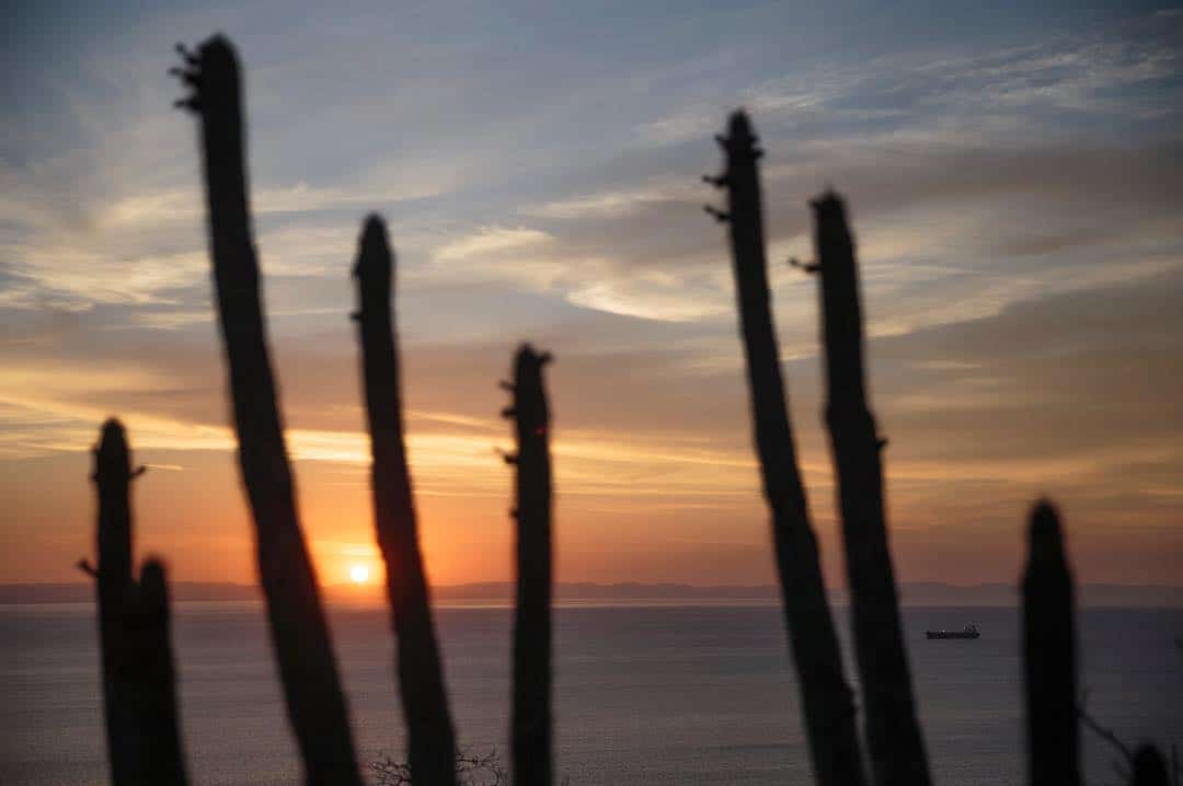 ⠀ Sunset from Cerro de la Calavera. La Paz, Mexico ⠀ If you’re ever in La Paz and find yourself with nothing to do one afternoon, this is a small hike, popular amongst locals, that you can take to get a pretty neat view of the beautiful sunsets La Paz never fails to deliver. ⠀ The name of the of the place, that translates to ‘Hill of the Skull’, comes from very peculiar cave-like formations on its side that resemble that shape. You can easily reach these caves from the trail, about half way up to the lower summit. ⠀ La Paz is a place with a lot of stories and legends (which is why it’s great to chat up the locals!), and Cerro de la Calavera also has a couple of them. One of them tells the story of the crew of a boat of early explorers of the Baja that were buried here; another one tells a tragic love story, but I’ll let you hear it from the locals once you visit.