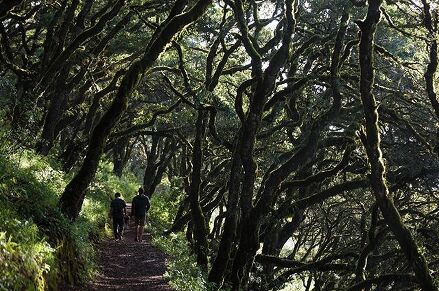 ⠀ ‘The World’s Inspiring Places: Sierra Gorda’ short film is out now!! ⠀ Sierra Gorda is not only a magical destination, but also a great example of things done right. Check out the feature documentary of two guys adventuring through its beautiful scenery as they meet the local heroes and people who have worked so hard to turn this biosphere reserve into an inspiring model of conservation! Link in bio!